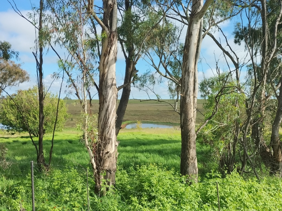 4 Bedroom Property for Sale in Bethlehem Rural Free State